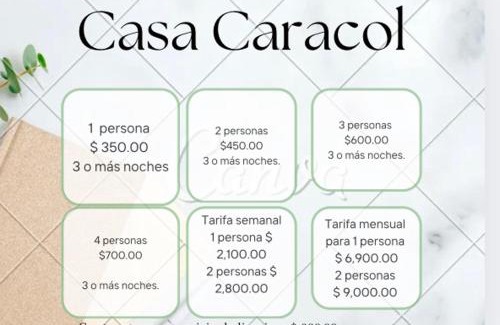 Zona Centro Apartamento | Casa Caracol Guanajuato