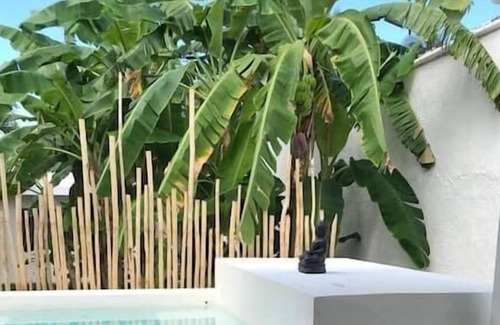 El Callejon Casa | casa caribe with jacuzzi