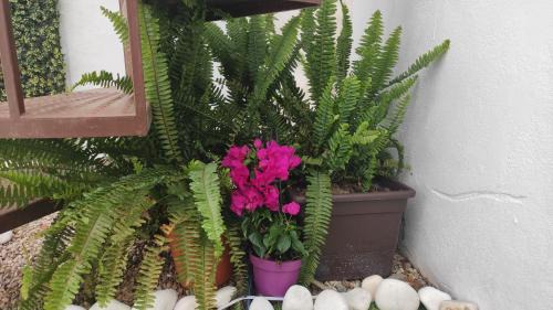Canillas de Aceituno Casa | Casa Carmela axarquia