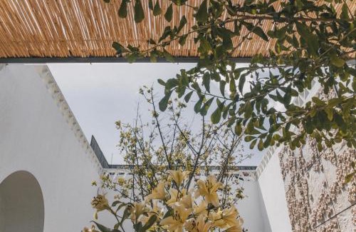 Centro Hotel | Casa Carmen Morelos