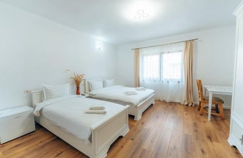 Poienile Izei Casa | Casa Carmen