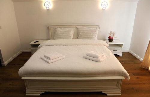 Poienile Izei Casa | Casa Carmen