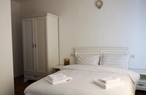 Poienile Izei Casa | Casa Carmen