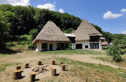 Cristolt Casa | Casa Catrinei