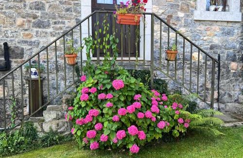 Cangas de Onís Casa | Casa Cerezal