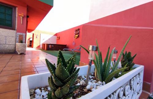 Arico Casa | Casa Cielito Lindo