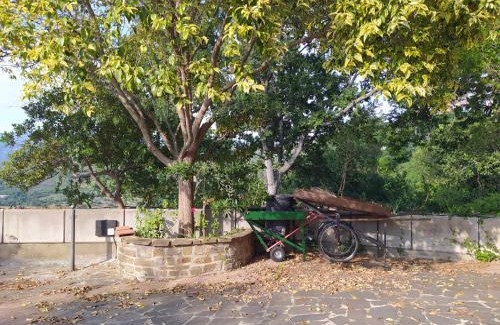 Ogliastro Cilento Apartamento | Casa Cilento - Appartamento per locazione turistica