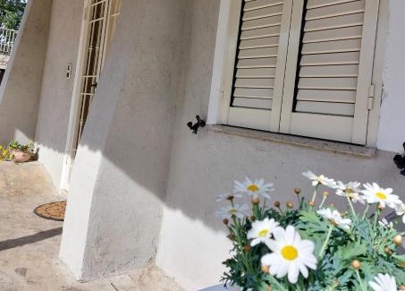 Fratta Casa | Casa civico22