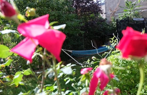 Kostheim Apartamento | Casa Colore with Garden and Courtyard
