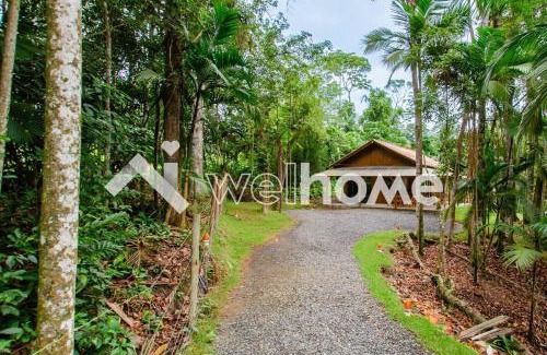Sao Joao do Itaperiu Casa | Casa com ampla área verde e piscina em Itaperiu