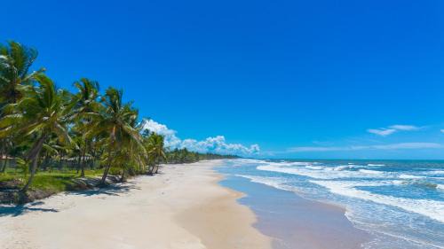 Olivenca Apartamento | Casa completo com grande piscina sob coqueiros, pe na areia
