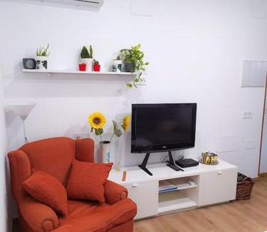 Almeria Centro Apartamento | Casa con jardín