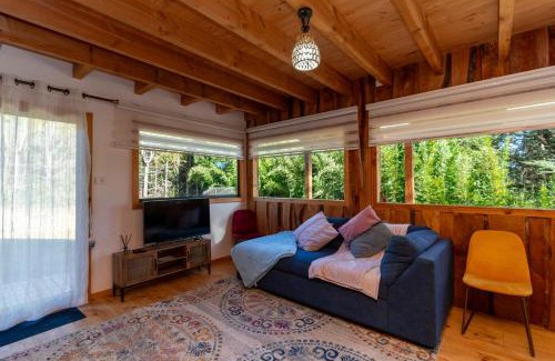 Pucon Casa | Casa con Tinaja y vista al Volcán