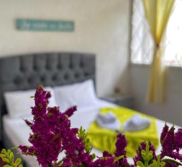 Villeta Casa | Casa Condesa Hotel