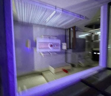 Campos Casa | Casa confraternização