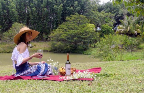 Veracruz Otro | Casa contenedor Finca la laguna