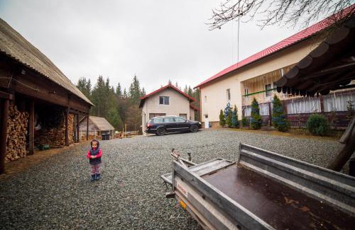 Arieseni Cabina | Casa Cosmina Arieseni