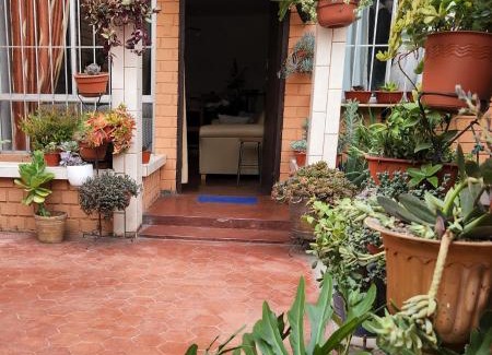 San Borja Casa | Casa Cultura II