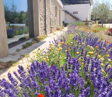 Sendim Casa | Casa D'Augusta - Agroturismo