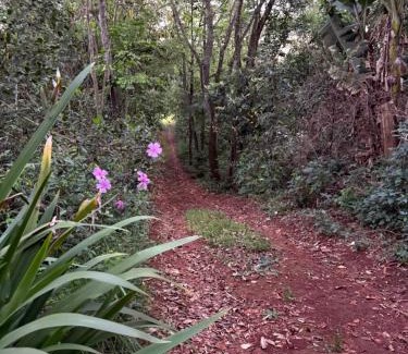 Foz do Iguacu Otro | Casa da Árvore
