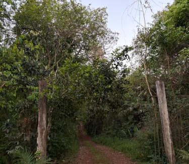 Foz do Iguacu Otro | Casa da Árvore