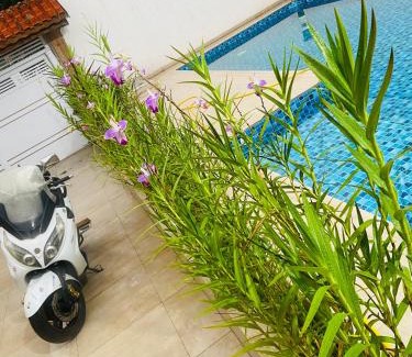 Princesa Casa | Casa da biza