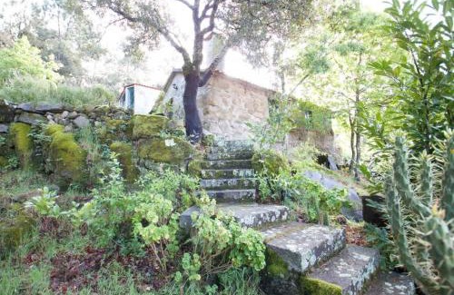 Agueda Casa | Casa da Eira- into the Nature