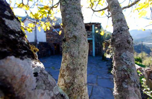 Arouca Casa | Casa da Figueira - Rio Paiva