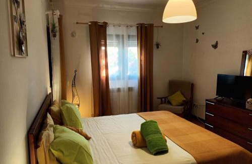 Barreira Casa | Casa da Risca Amarela