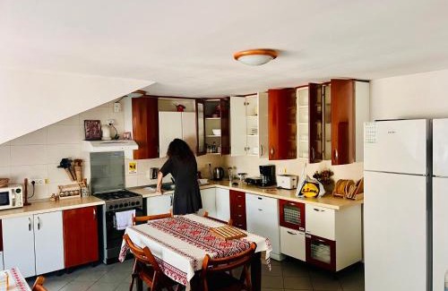 Rasnov Casa | Casa Dacică