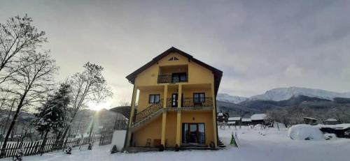 Moisei Casa | Casa Dana
