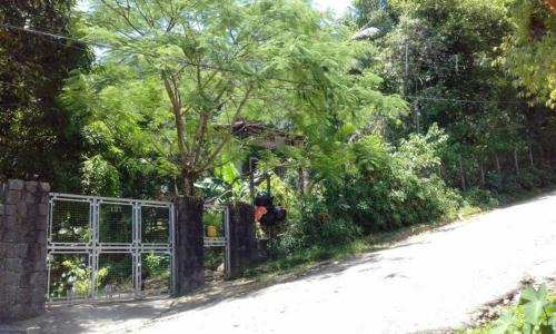 Praia da Enseada Apartamento | Casa das Árvores