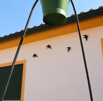 Povoa Casa | Casa das Andorinhas - Turismo Rural - Nazaré Alcobaça