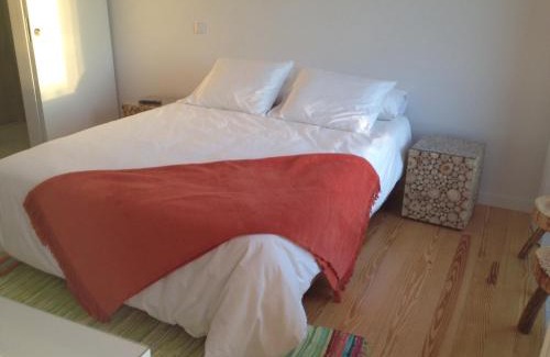 Paredes de Coura Casa | Casa das Boticas