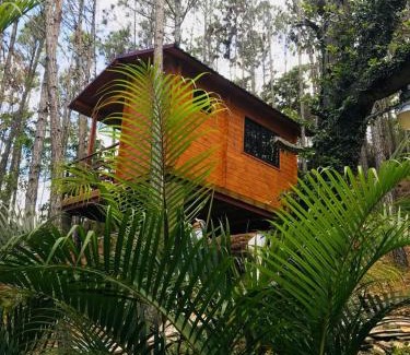 Jarabacoa Otro | Casa de Arbol, Rancho Tierra Alta