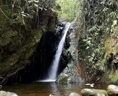 Mindo Casa | Casa de campo en el bosque de Mindo, junto al río