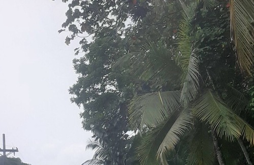 Eastern Panama Otro | Casa de campo la subidita