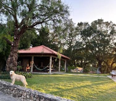 Aldeia de Irmaos Casa | Casa de Férias