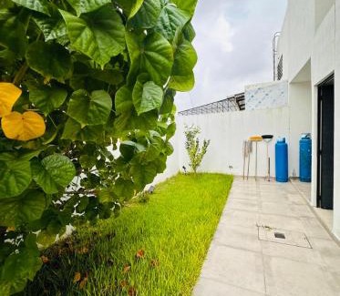 Colima Casa | Casa de la Paz