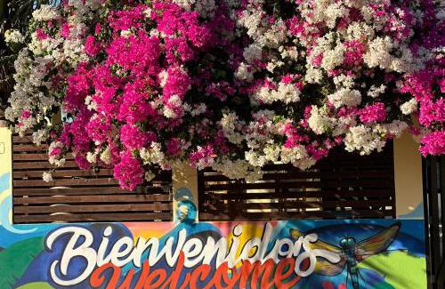 Santa María Colotepec Hotel | Casa De Las Libélulas-Oaxaca