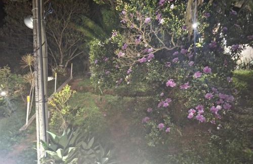 Miguel Pereira Apartamento | Casa de Luz - Lar na Serra - Duplo ou Triplo