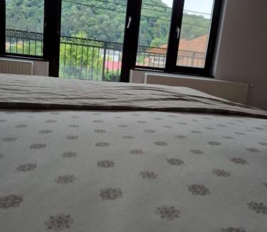 Deva Apartamento | Casa de oaspeti Minerva