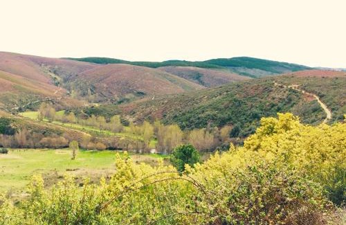Braganca Casa | Casa de Onor