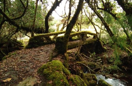 Guasca Casa | Casa de piedra El Colibrí