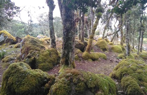 Guasca Casa | Casa de piedra El Colibrí