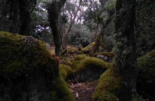 Guasca Casa | Casa de piedra El Colibrí