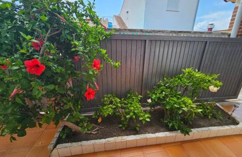 Molinell Casa | Casa de playa en Oliva al lado del MET y Campo de Golf