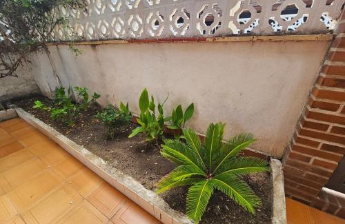 Molinell Casa | Casa de playa en Oliva al lado del MET y Campo de Golf