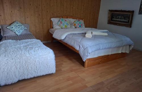Gura Teghii Casa | Casa de vacanță cu 4 camere Varlaam