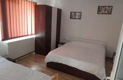 Viseu de Jos Casa | Casa de vacanță Fabian
